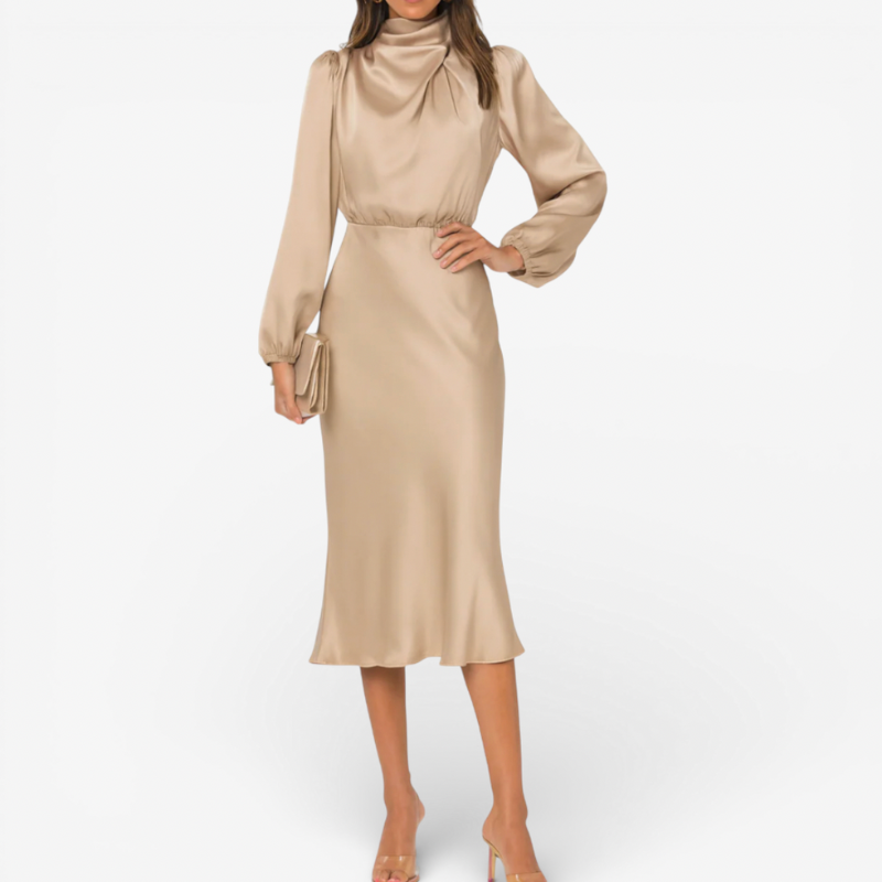 Elegant Ladies Evening Gown Dress