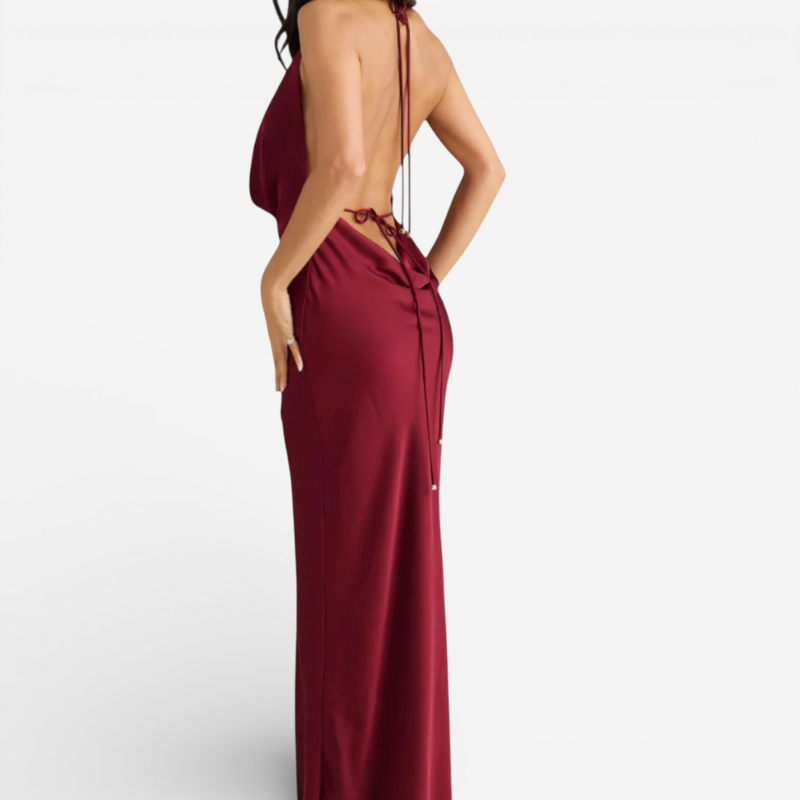 Ladies Elegant Burgundy Evening Gown