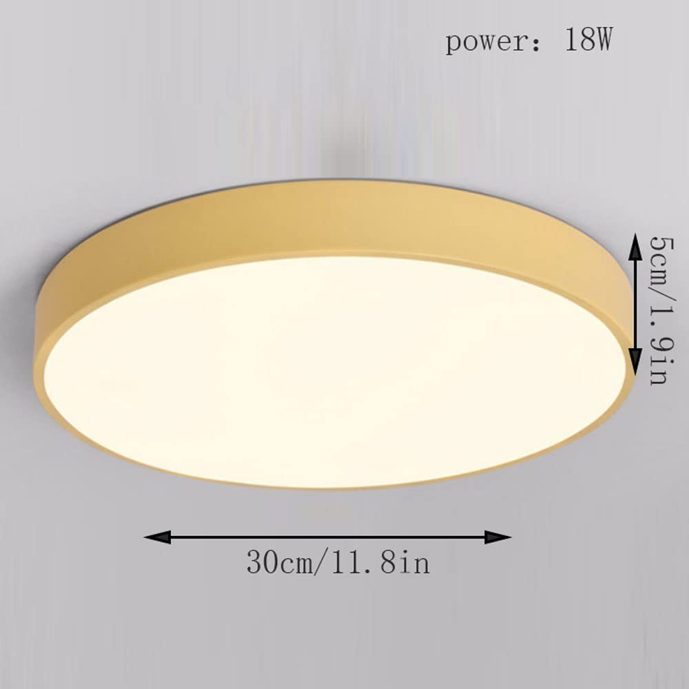 Round Indoor LED Ceiling Light Fixture