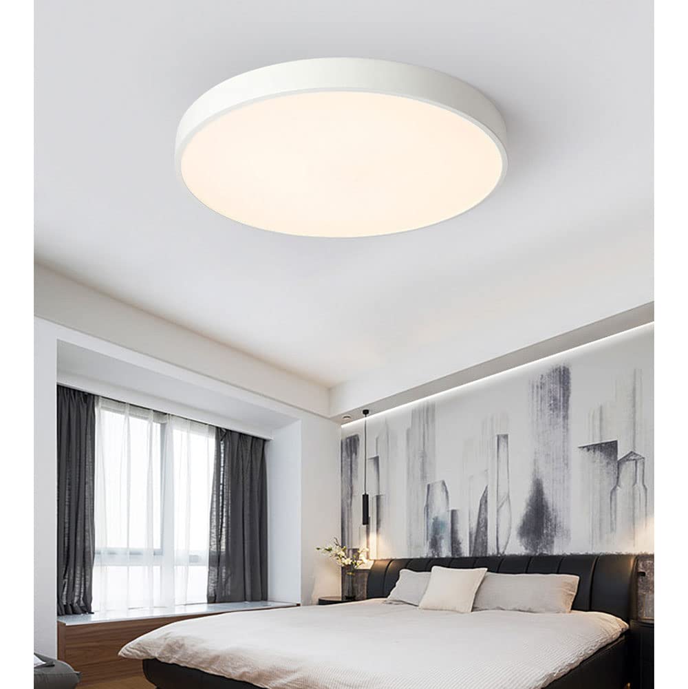 Round Indoor LED Ceiling Light Fixture