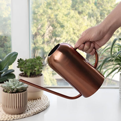 Large Stainless Steel Garden Watering Can with Long Nozzle