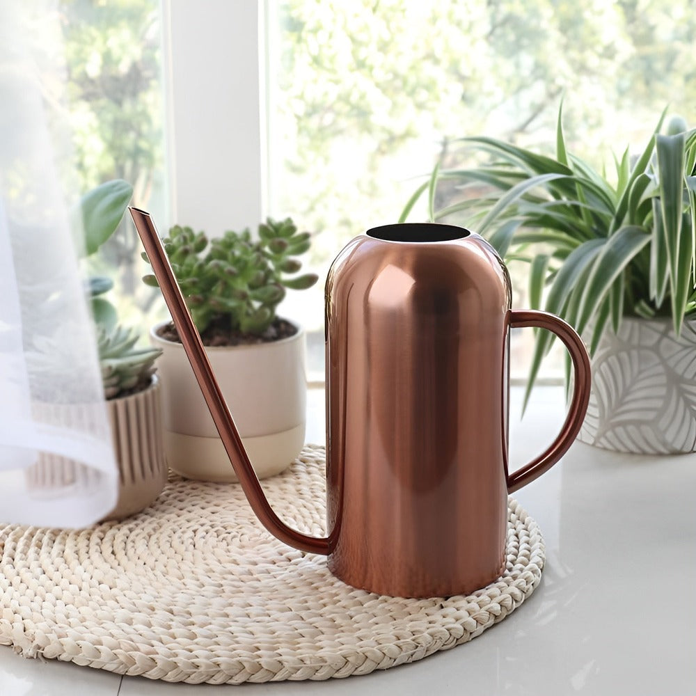 Large Stainless Steel Garden Watering Can with Long Nozzle