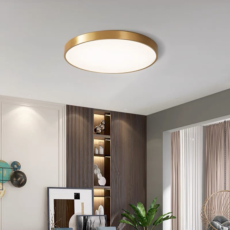 Round Indoor LED Ceiling Light Fixture