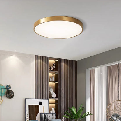 Round Indoor LED Ceiling Light Fixture