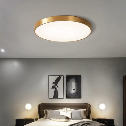 Round Indoor LED Ceiling Light Fixture