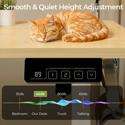 Ergonomic Height Adjustable Home Office Desk