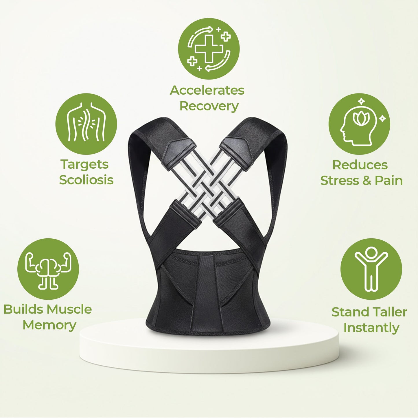 Comfortable Lower Back Support Belt with Free Massager