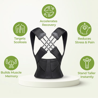 Comfortable Lower Back Support Belt with Free Massager