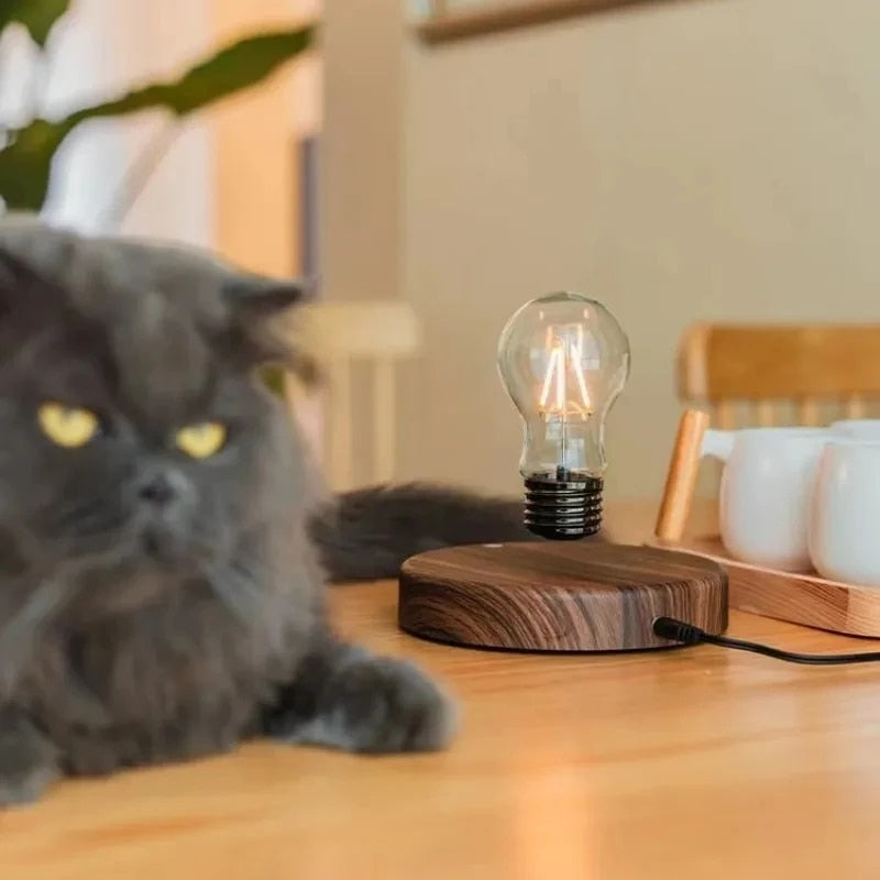 Unique Floating LED Desk Lamp