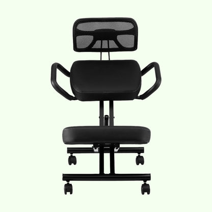 Ergonomic Desk Chair with Lumbar Support - Stool with Wheels