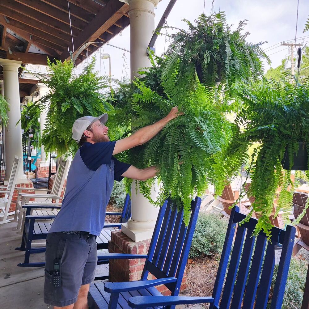 Durable Outdoor Artificial Fern Plant