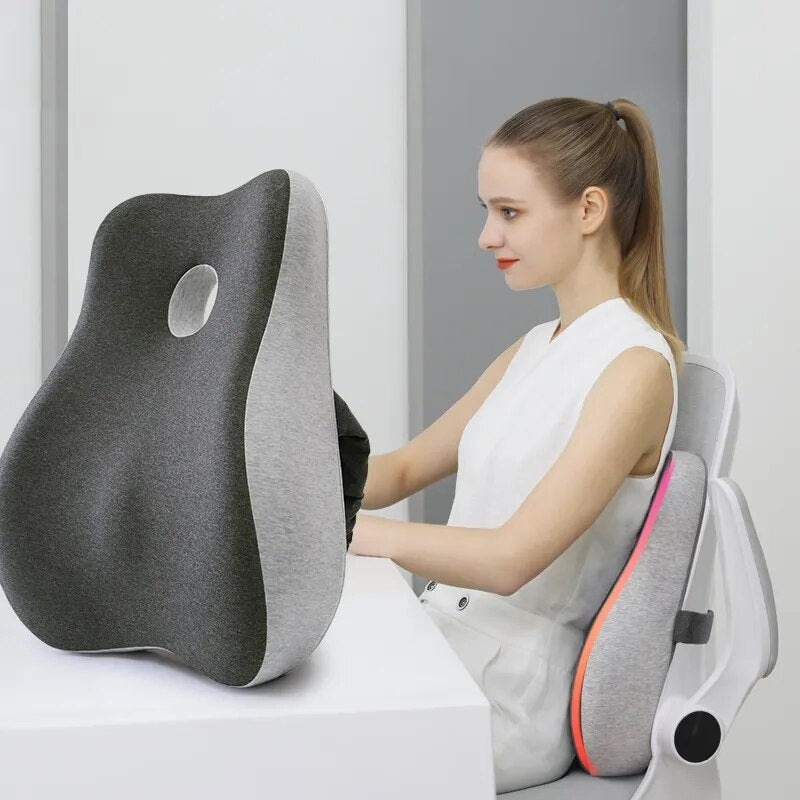 Best Back Support Cushion Pillow