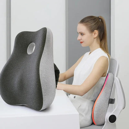 Best Back Support Cushion Pillow