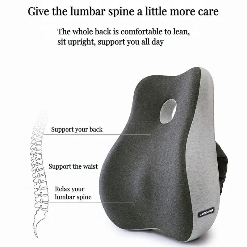 Best Back Support Cushion Pillow