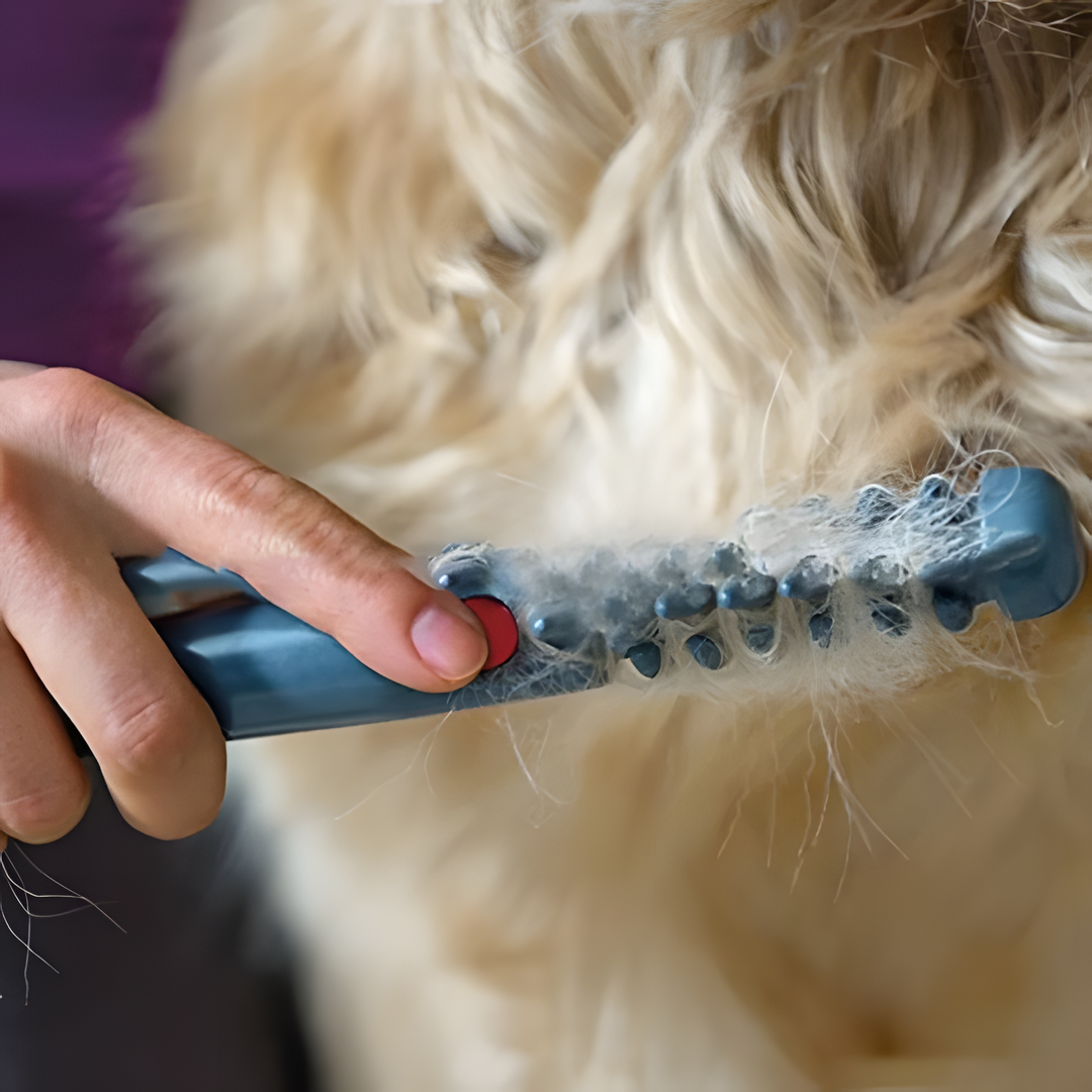 Easy Use Pet Detangling Brush for Cats and Dogs