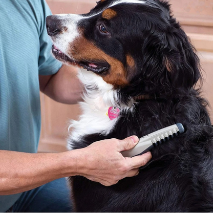 Easy Use Pet Detangling Brush for Cats and Dogs