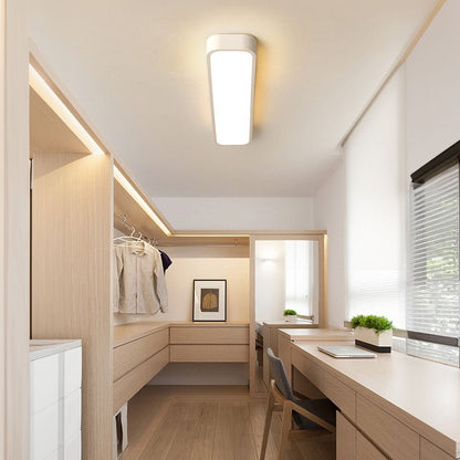 Simple Modern LED Ceiling Lamp - Luxivelle