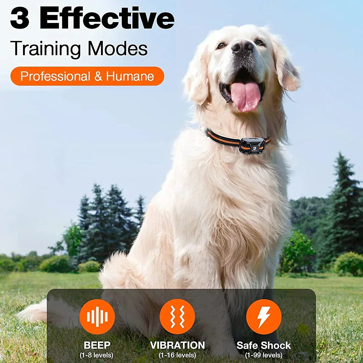 Waterproof Rechargeable Dog Training Collar with Remote