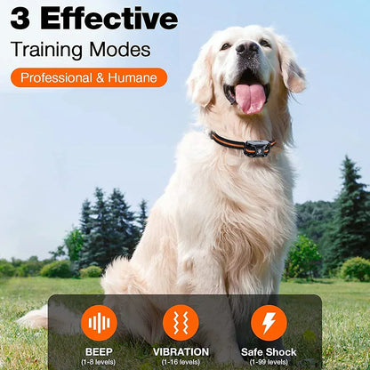 Waterproof Rechargeable Dog Training Collar with Remote