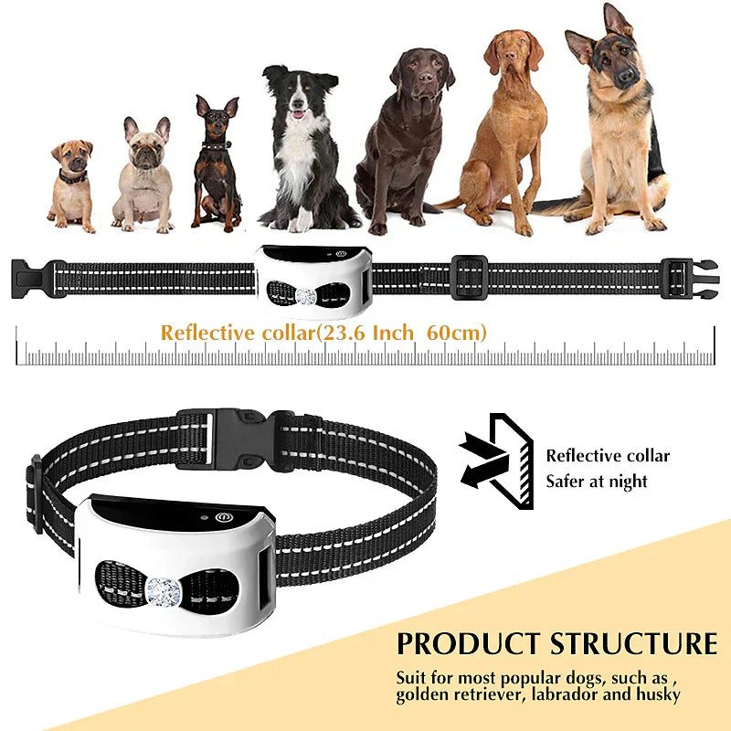 Portable Dog Training Collar & Fence System