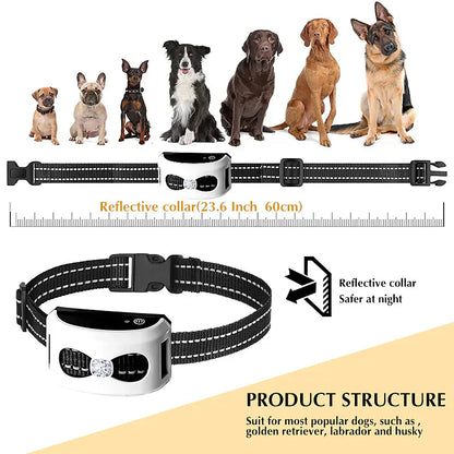 Portable Dog Training Collar & Fence System