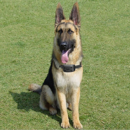 Easy Pet Containment System with Rechargeable Collar