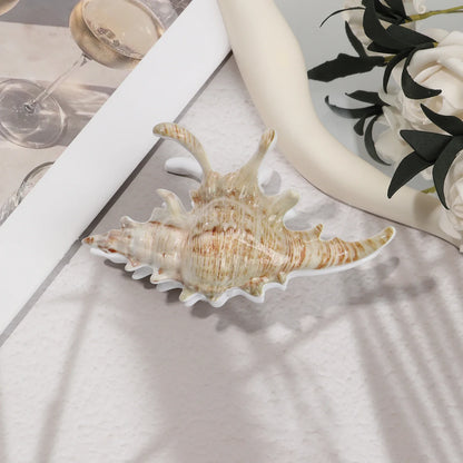 Beachy Seashell Hair Clips for Women