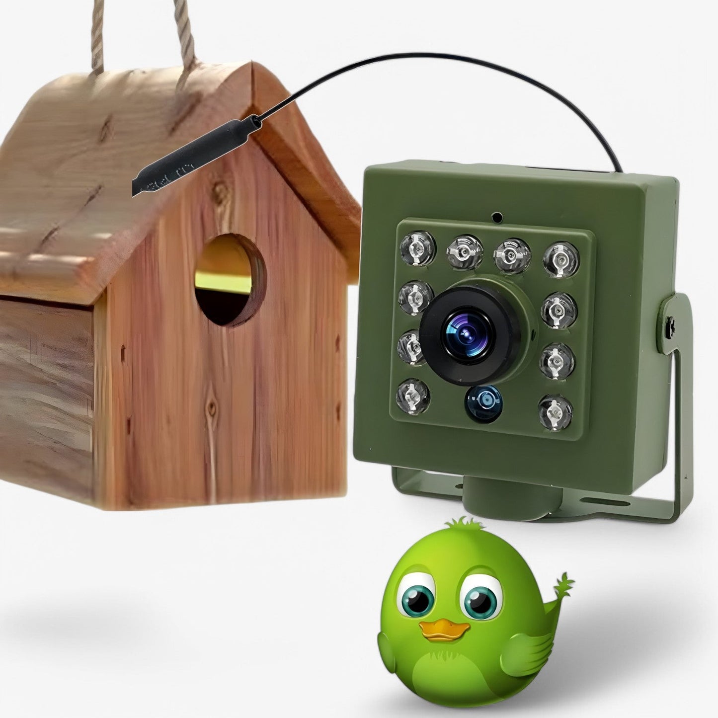 Wireless Outdoor Bird Watching Camera with Night Vision - Luxivelle