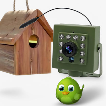 Wireless Outdoor Bird Watching Camera with Night Vision - Luxivelle