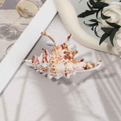 Beachy Seashell Hair Clips for Women