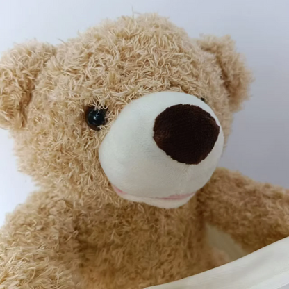 Cute Talking Teddy Bear Toy for Kids
