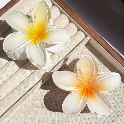 Colorful Floral Hair Clips for Women Boho Hair Accessories