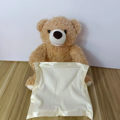 Cute Talking Teddy Bear Toy for Kids