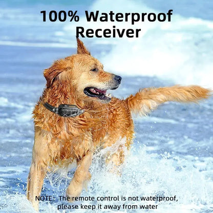 Pet Training Collar Waterproof Rechargeable Remote Control