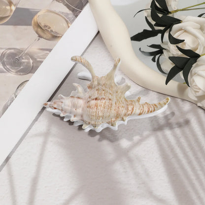 Beachy Seashell Hair Clips for Women