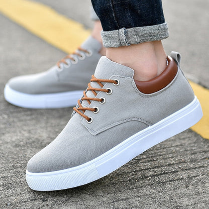 Casual Men's Low Top Lace Sneakers