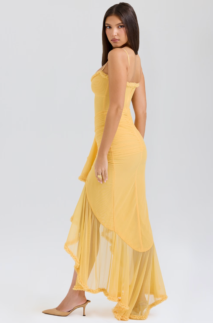 Pretty Ruffled Fit Flare Party Dress