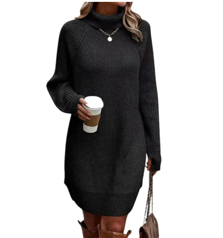 Ladies' Classic Crew Neck Sweater Dress