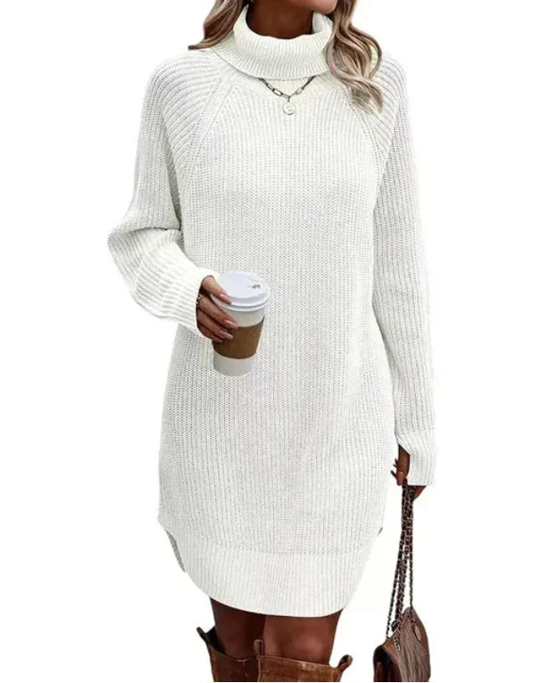 Ladies' Classic Crew Neck Sweater Dress