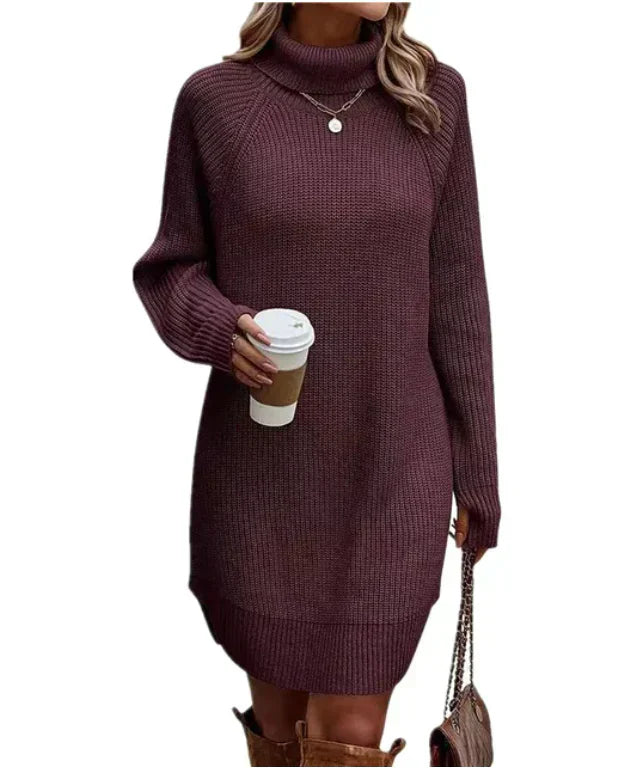 Ladies' Classic Crew Neck Sweater Dress