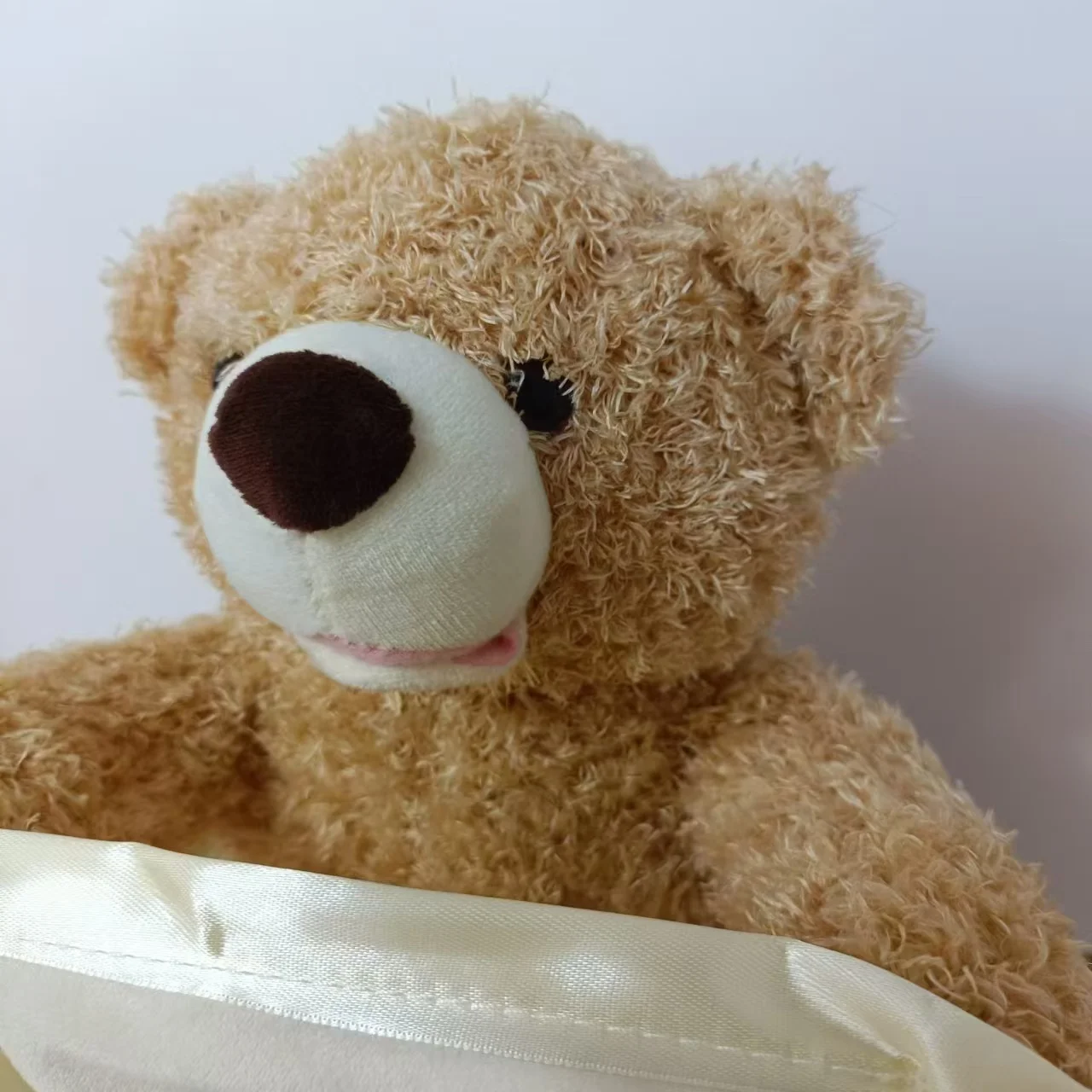 Cute Talking Teddy Bear Toy for Kids
