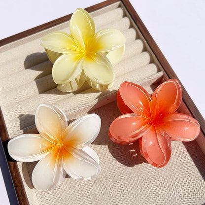 Colorful Floral Hair Clips for Women Boho Hair Accessories