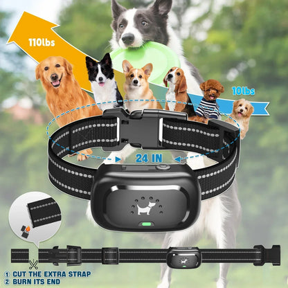 Waterproof Dog Training Collar with Remote Control