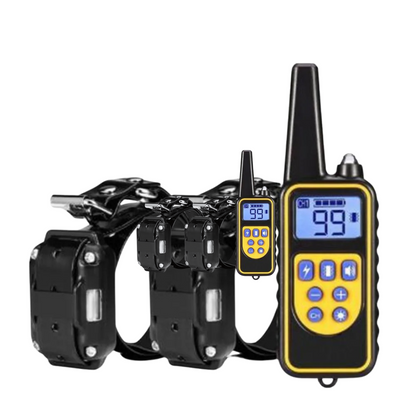Waterproof Remote Dog Training Collar with Long Range Control