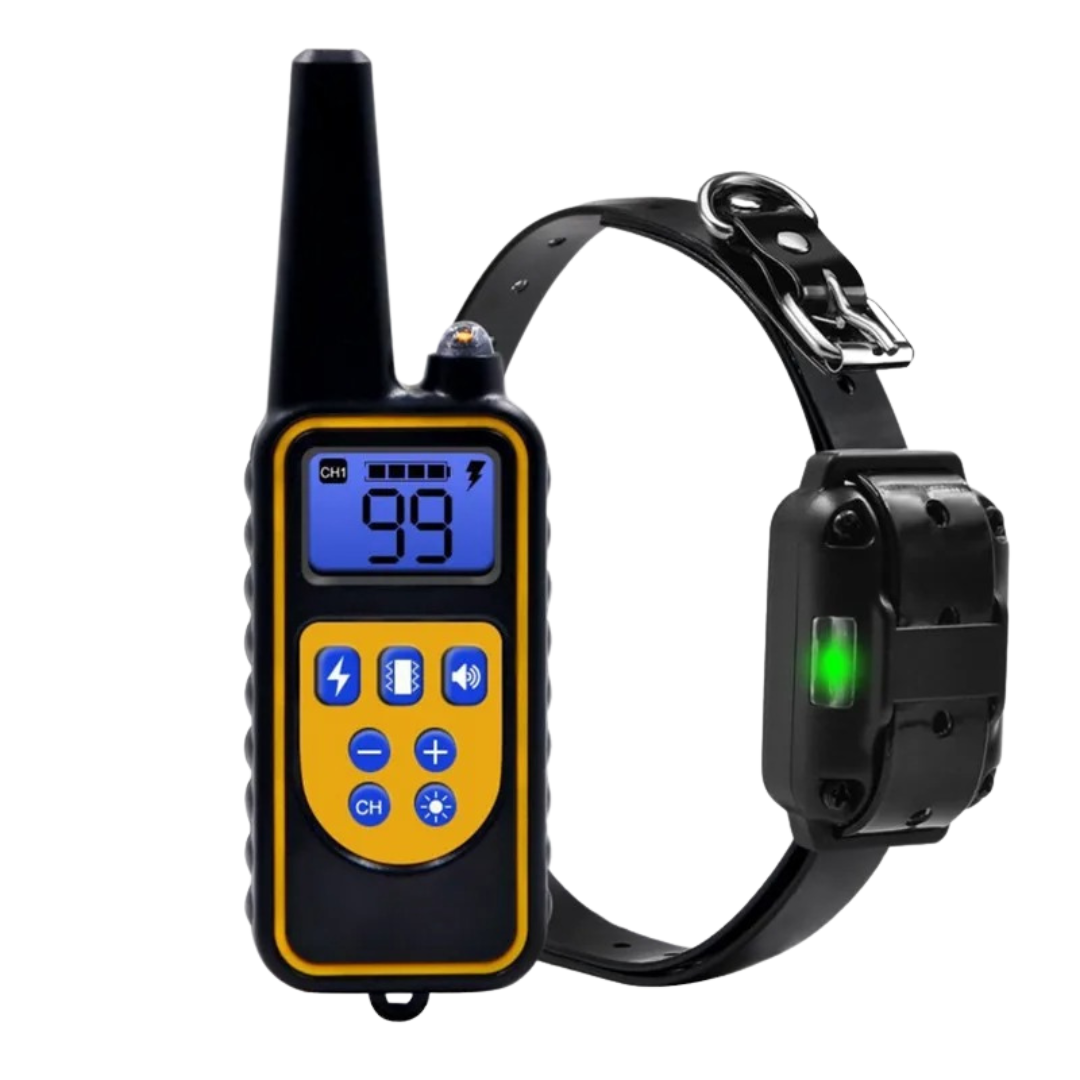 Waterproof Remote Dog Training Collar with Long Range Control