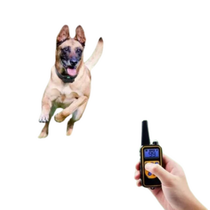 Waterproof Remote Dog Training Collar with Long Range Control