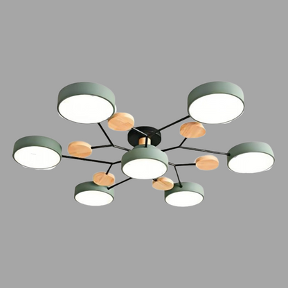Unique LED Ceiling Lamp For Modern Homes
