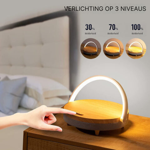 Versatile LED Desk Lamp with Bluetooth Speaker & Charger