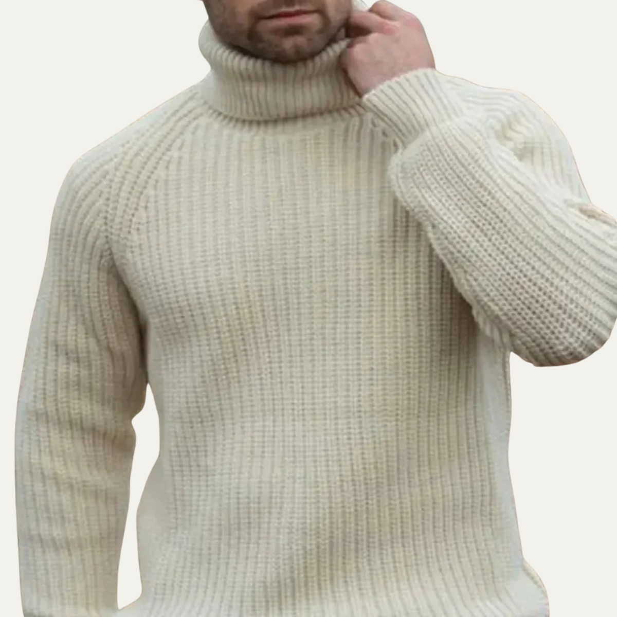 VogeLuxe | Men’s Chunky Turtleneck Sweater 3