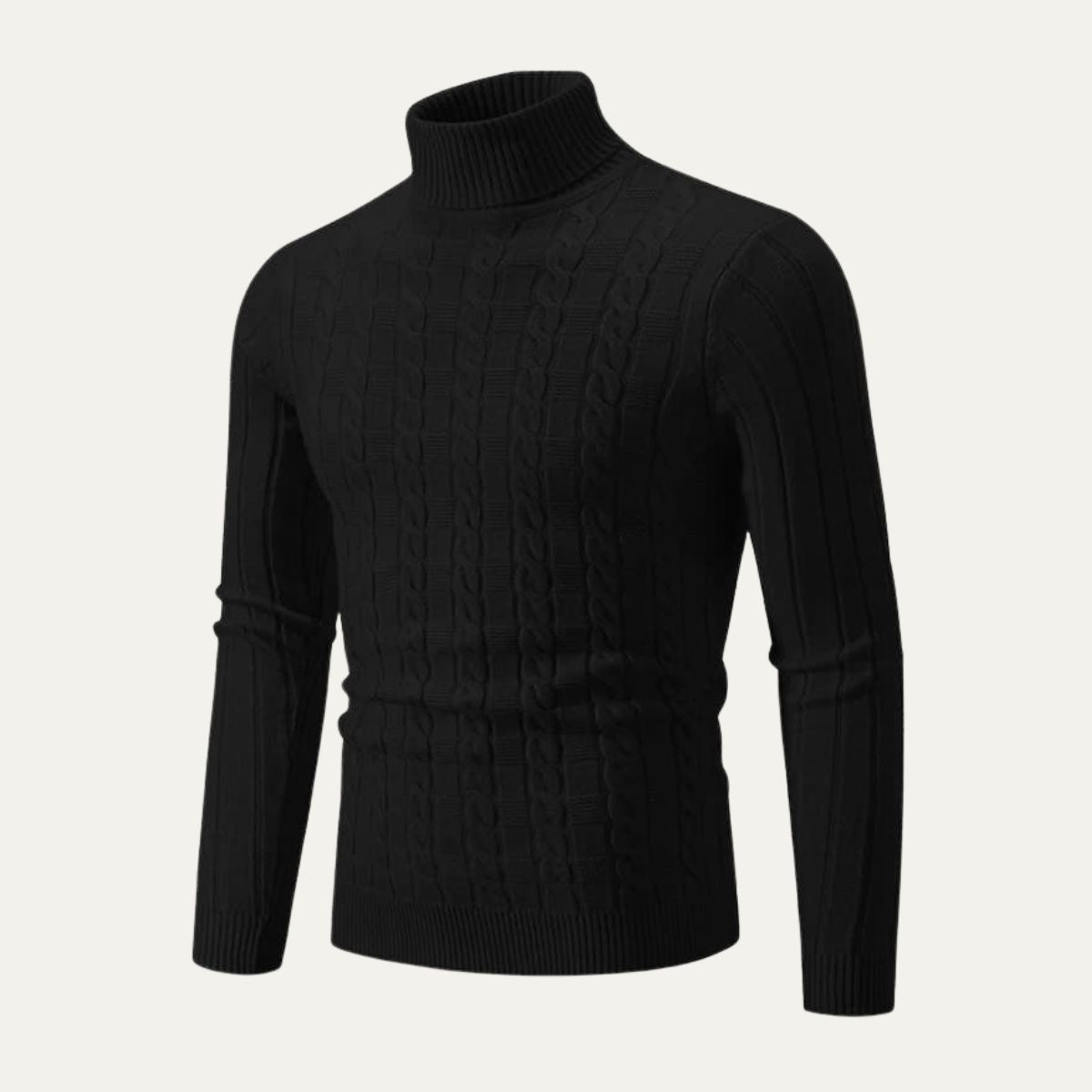 VogeLuxe | Men’s Fitted Cable Knit Turtleneck 3